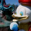 Duck Ride