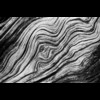 Log Lines