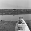 Bird On Boat